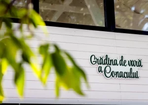 gradina-de-vara-la-mami-acasa-012-12