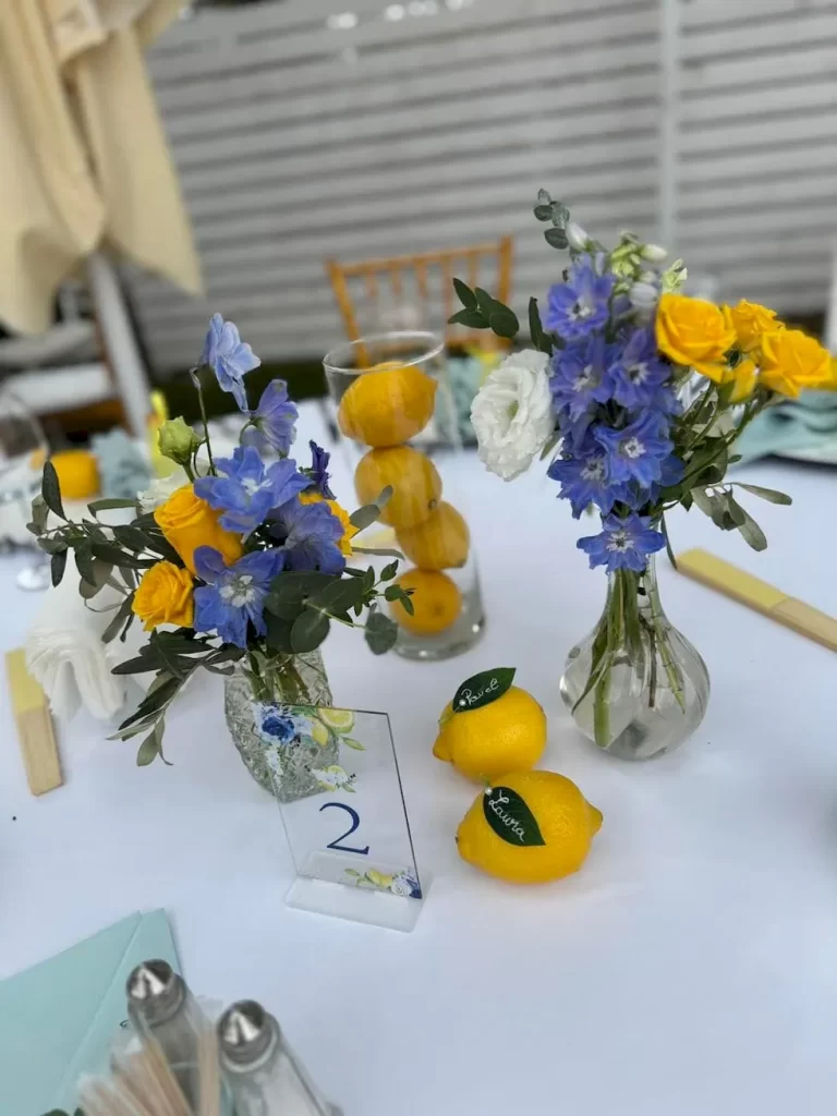 gradina-de-vara-la-mami-acasa-016-16